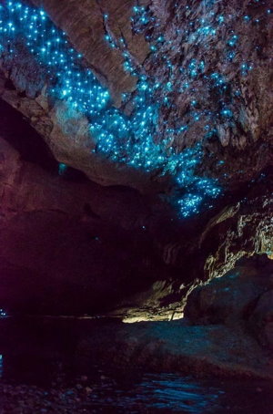 Waipu Caves